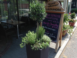 Cafe_Restaurant_Alexandra.jpg