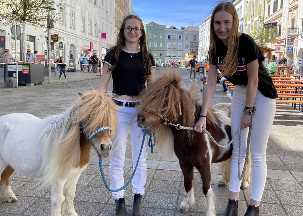 zwei Ponys mit Besitzer